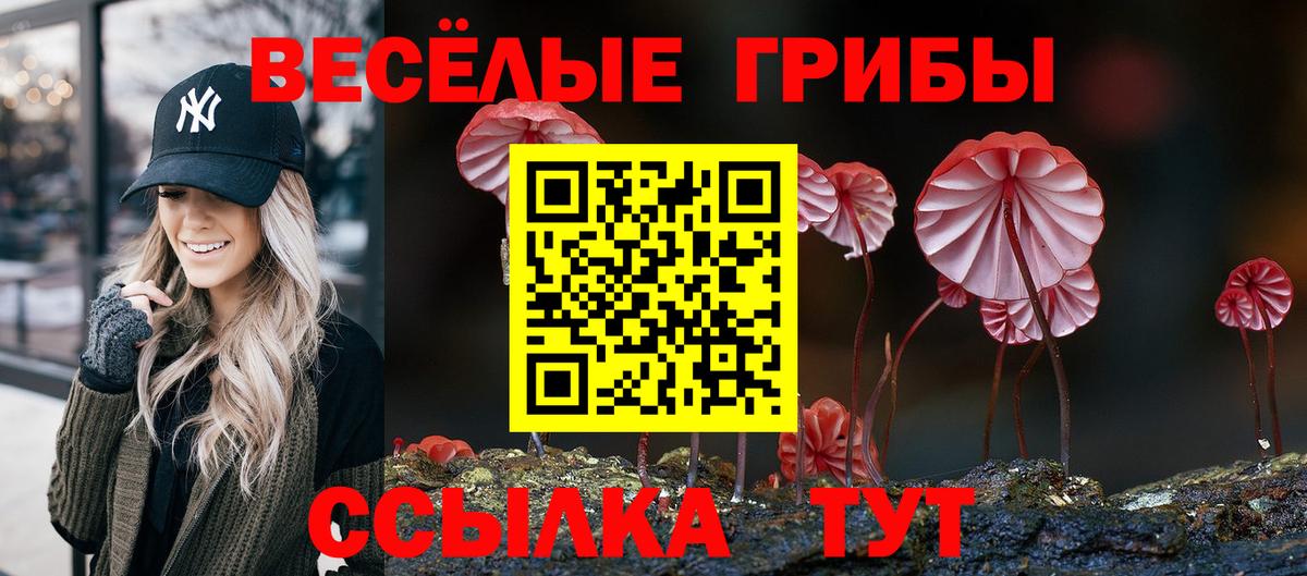 Псилоцибиновые грибы MAGIC MUSHROOMS  Вход с VPN  Гулькевичи 